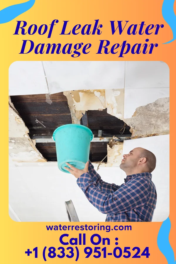 Roof Leak Water Damage Repair in Murdo, SD